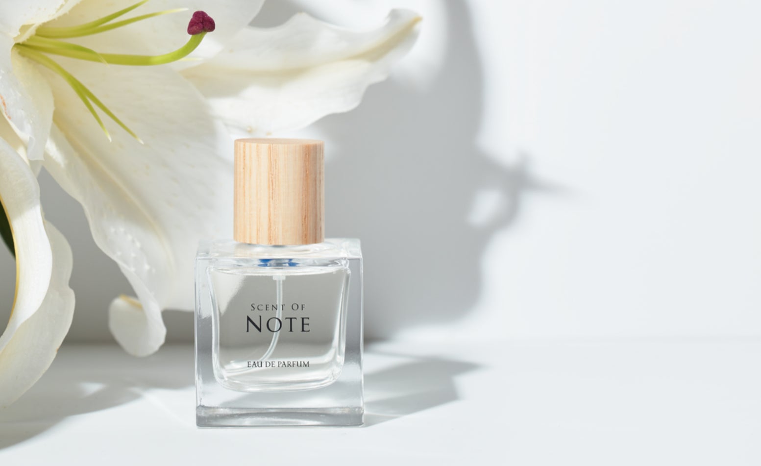 錦戸亮・赤西仁プロデュース「SCENT OF NOTE（セントオブノート