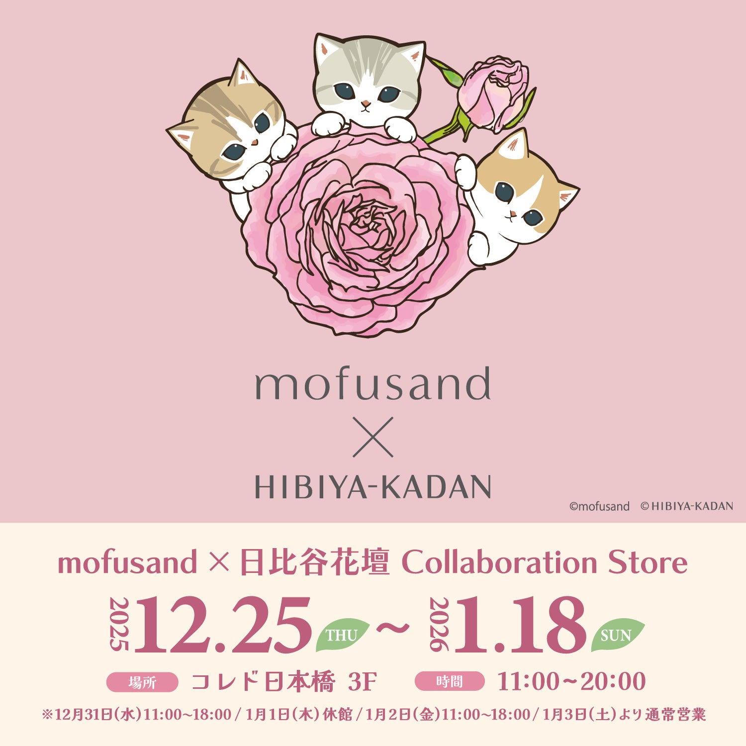mofusand」と「日比谷花壇」が初のコラボ！12/25(木)よりコレド日本橋