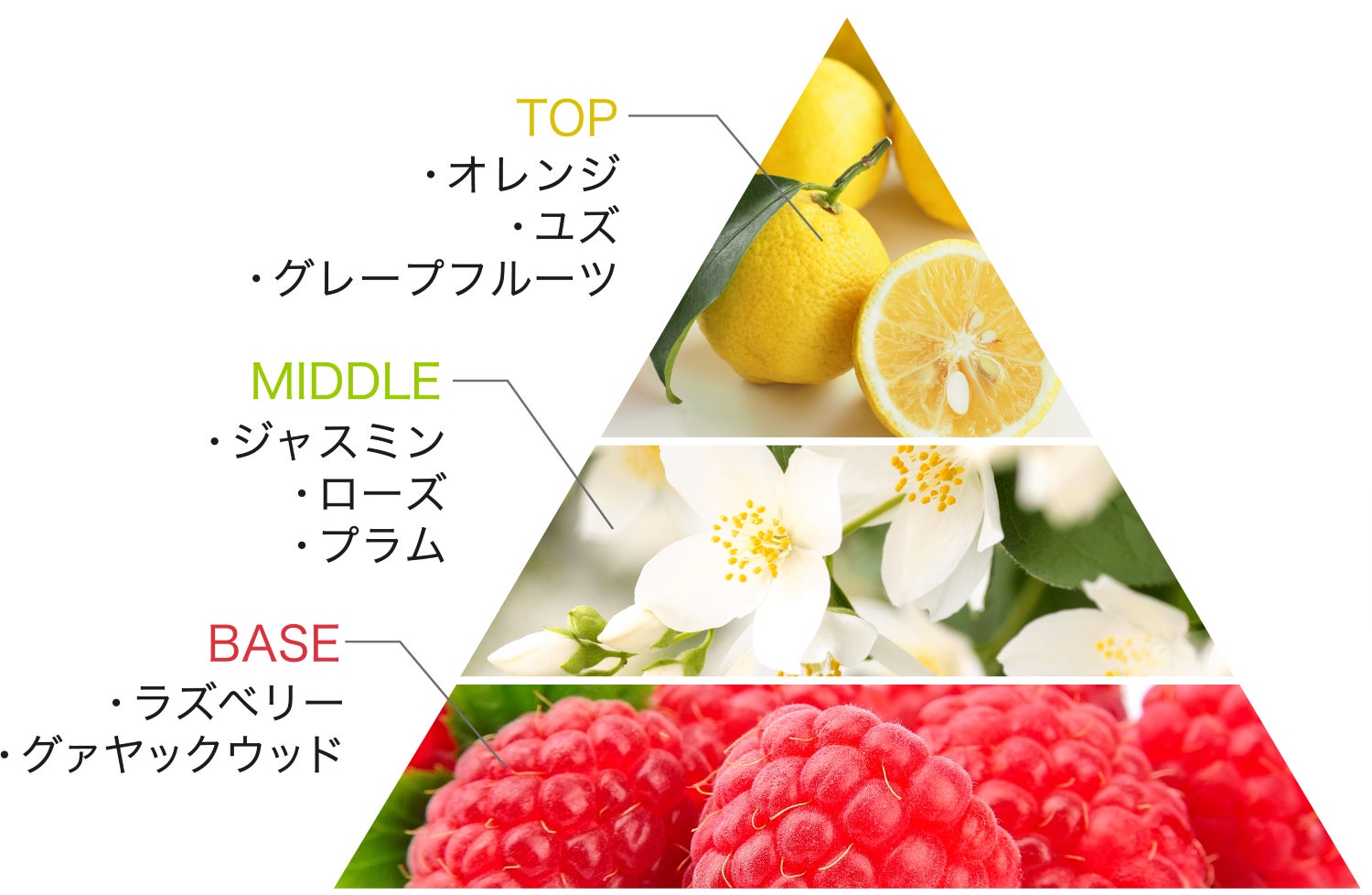 この冬だけの濃密美容オイル［メゾンレクシア］から2023年10月3日（火