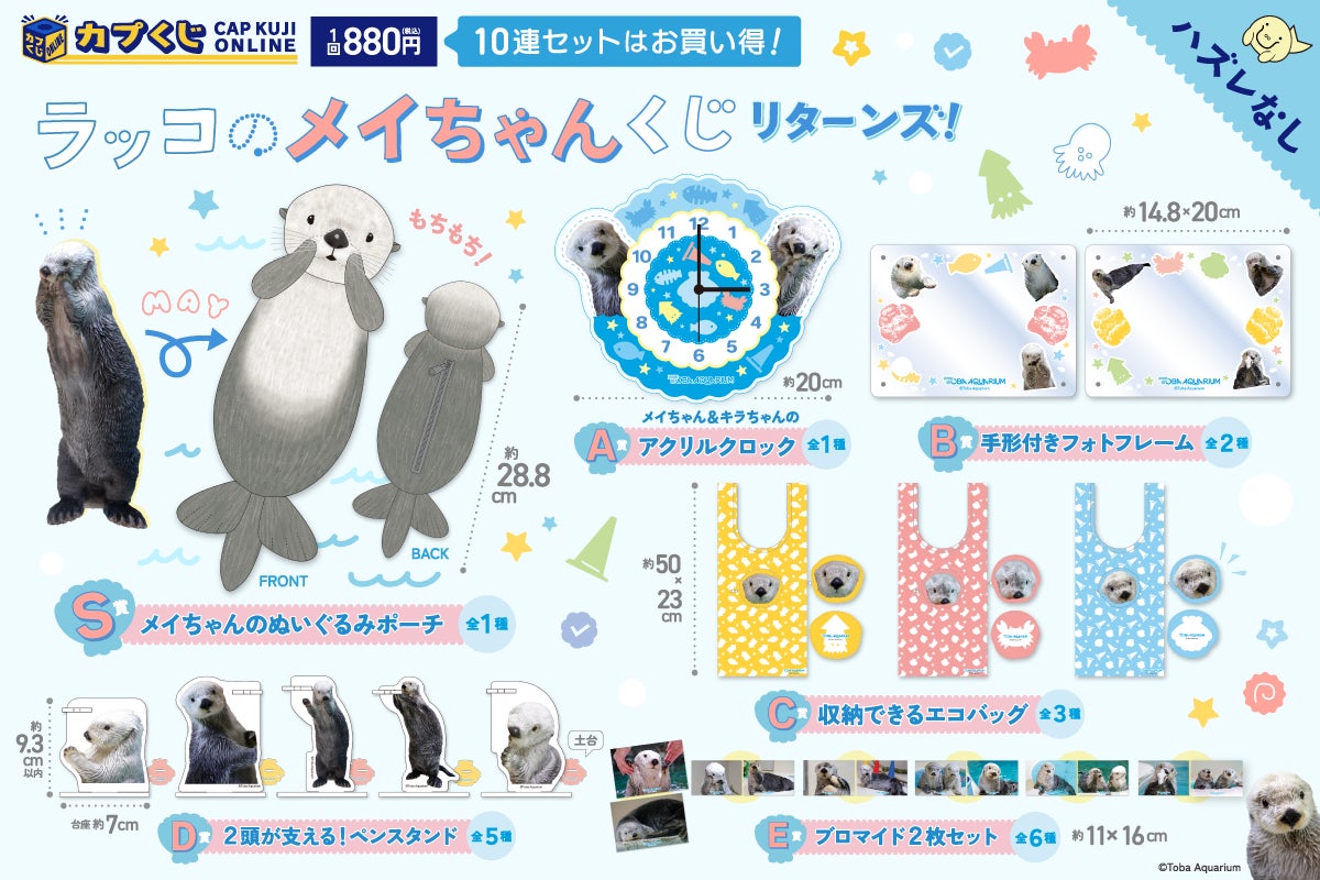 鳥羽水族館』のアイドルが帰ってきた！ 「ラッコのメイちゃん」の誕生