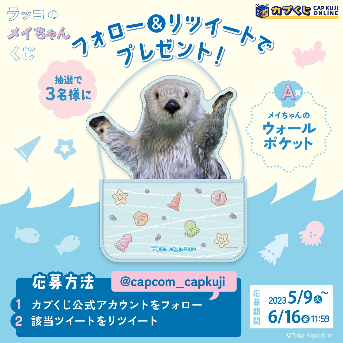鳥羽水族館』のアイドル！ 「ラッコのメイちゃん」のお誕生日を記念