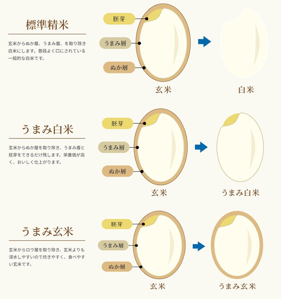 新精米方式】「うまみ」を追求したコイン精米機CP420・CPH420シリーズ