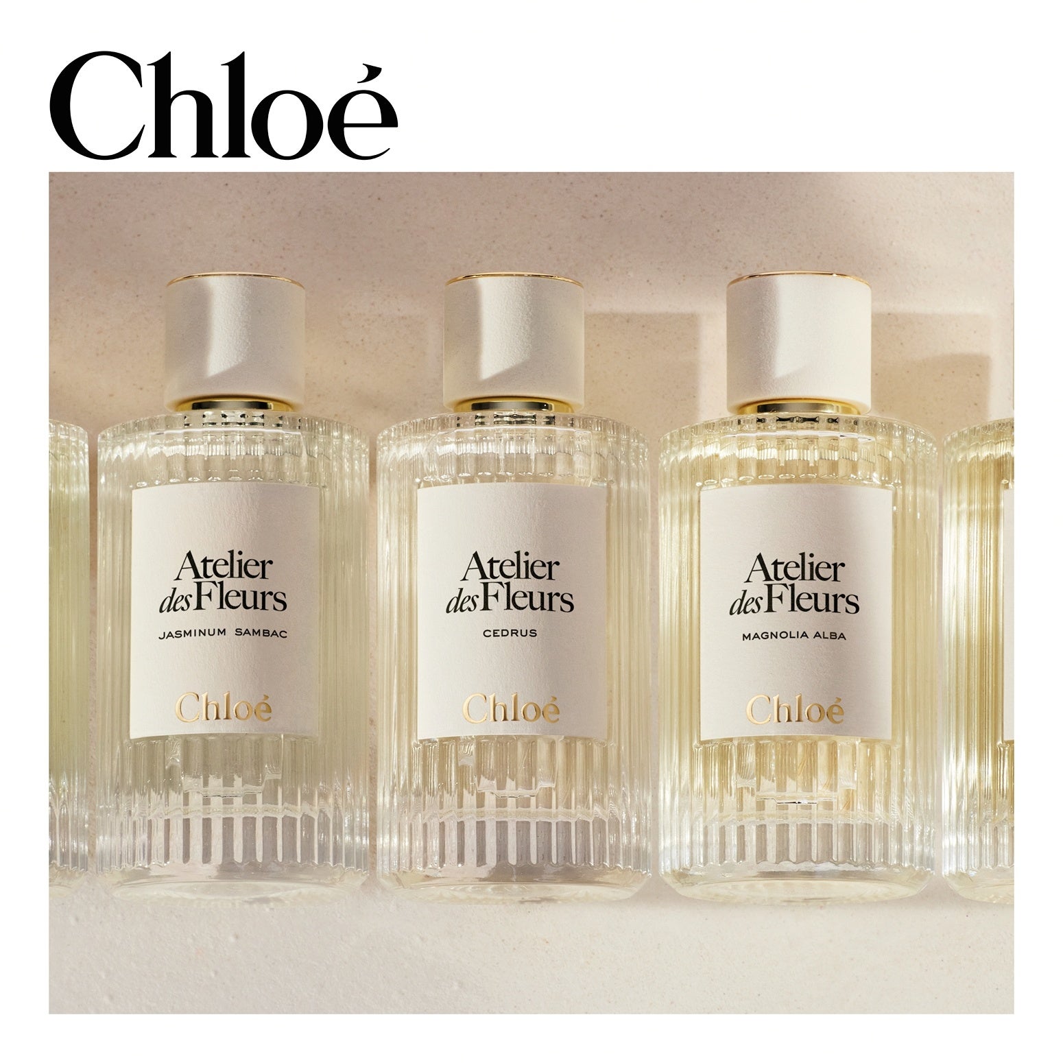 クロエ〈アトリエ デ フルール〉から ボディコレクション登場― 花々の