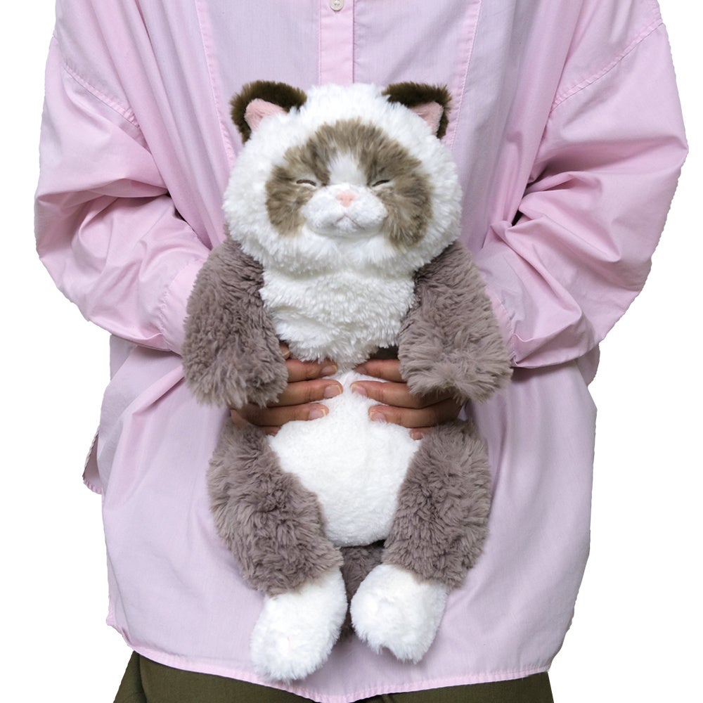 癒し系ぬいぐるみ】すやすやと眠っている姿が大人気のひざねこに人気の