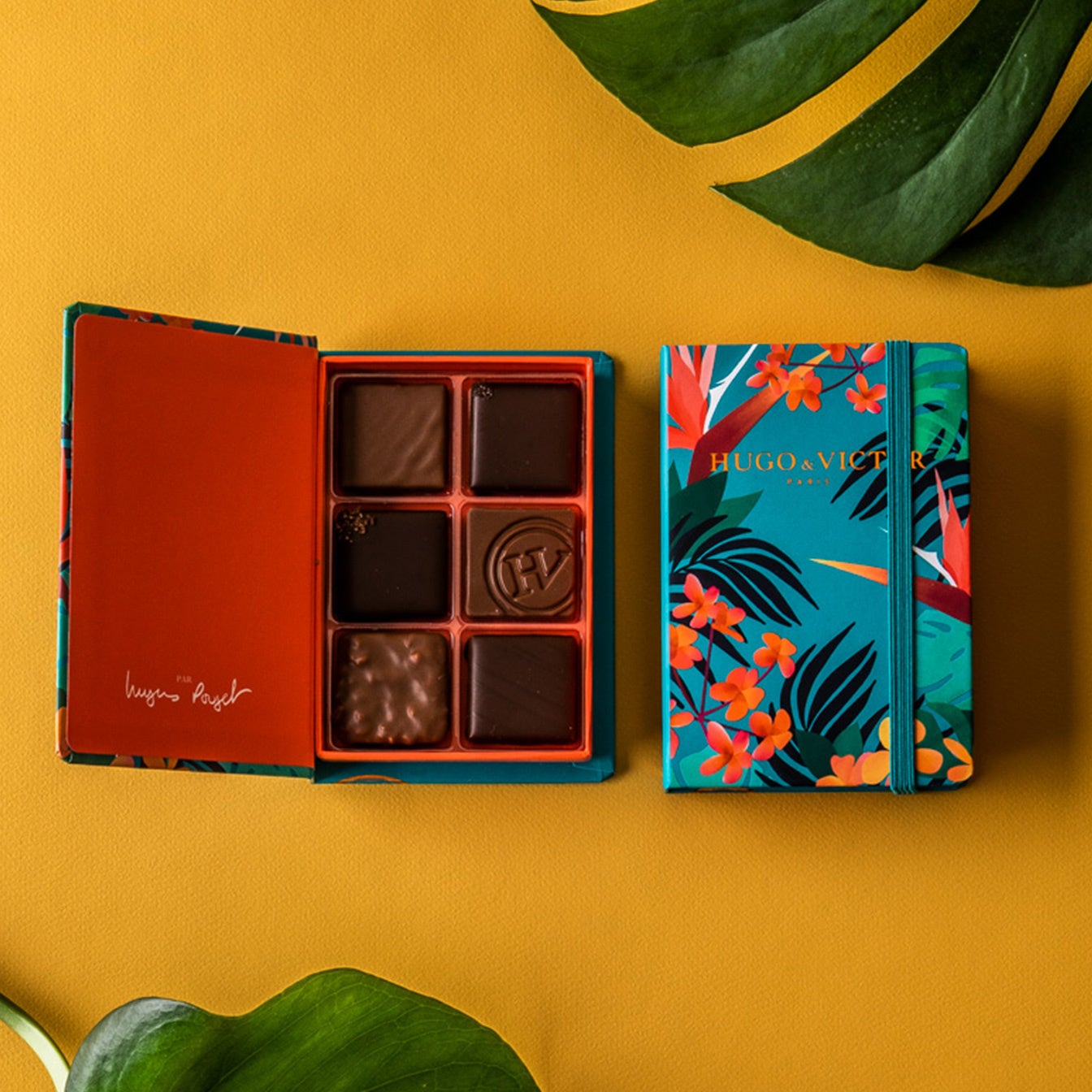 HUGO ＆ VICTOR(ユーゴ アンド ヴィクトール)】coup de foudre(クー