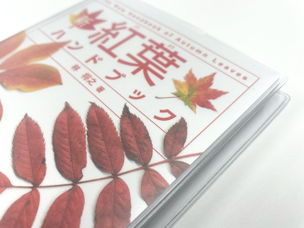 紅葉に親しみたいすべての人の要望にお応えします！ハンディサイズの