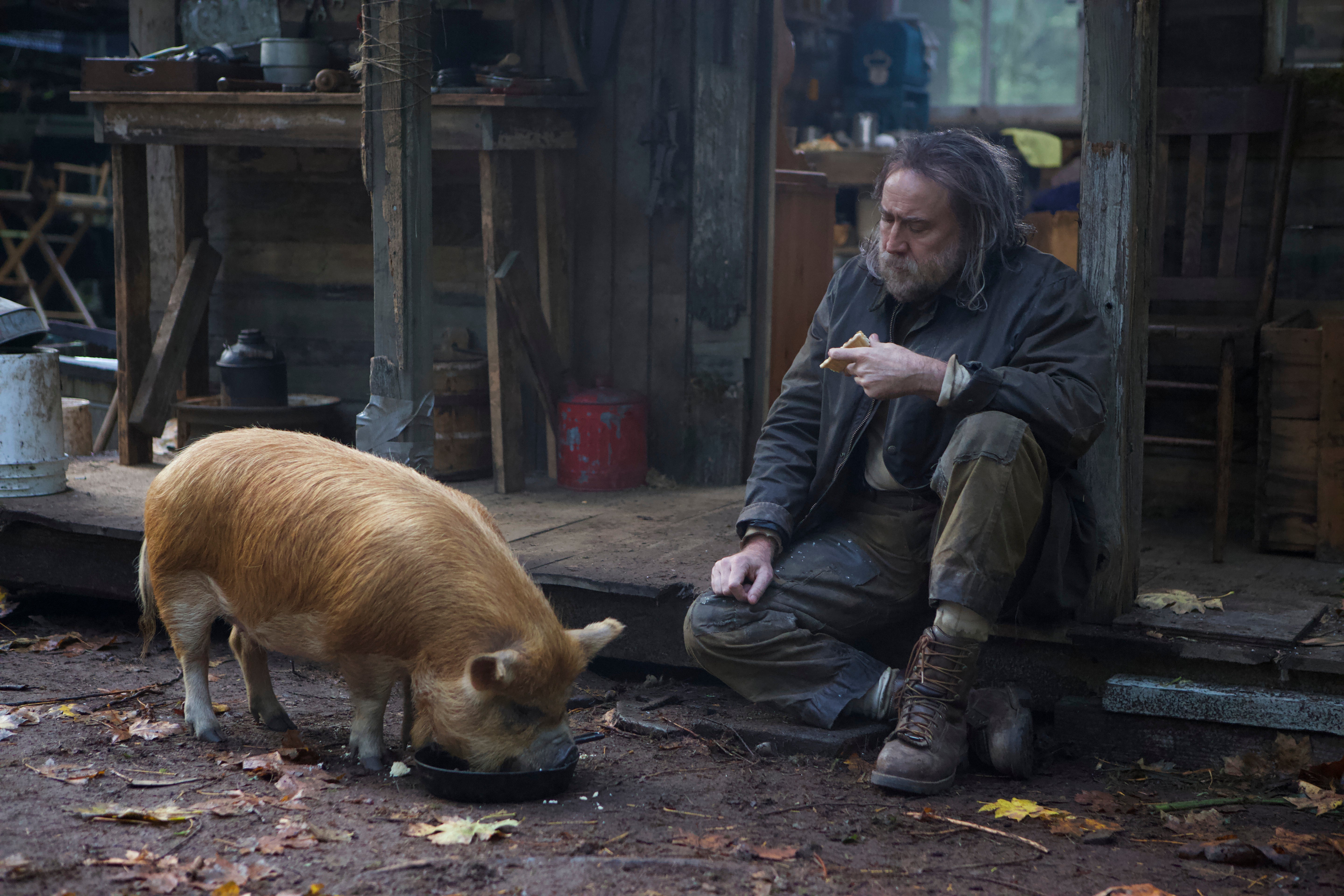 慟哭のリベンジスリラー！『PIG／ピッグ』Blu-ray＆DVD 2/22(水)発売