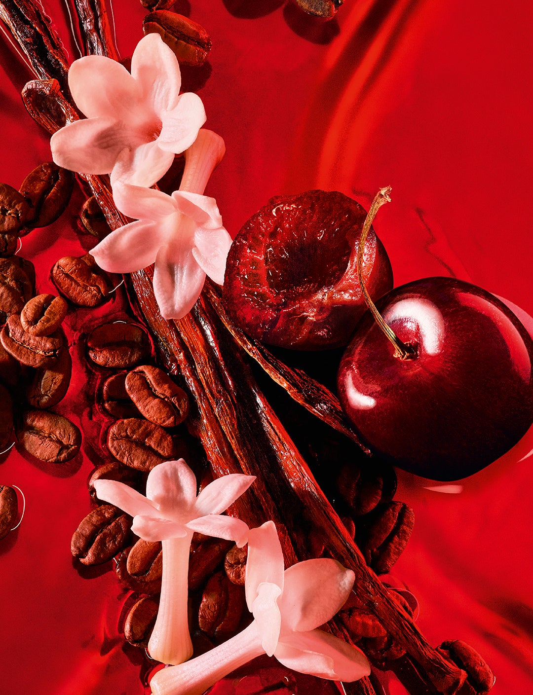 YSL】フレグランスラバーを魅了する「ブラック OP」から、 限定