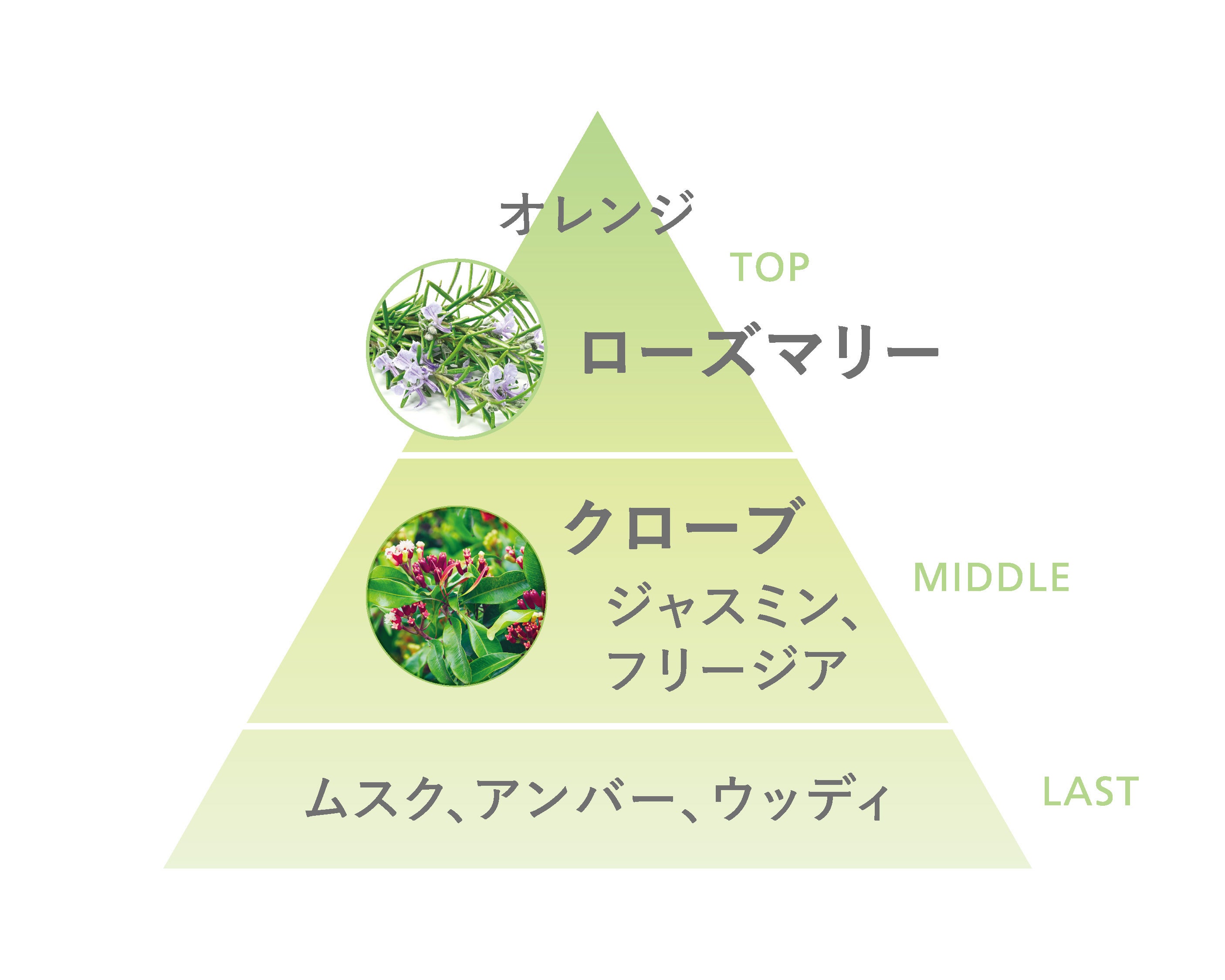 CPコスメティクスより、薬用美白*¹ボディクリーム『メラノクリスタル