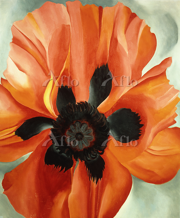 ジョージア・オキーフ [182882730]のアート作品 - アフロ