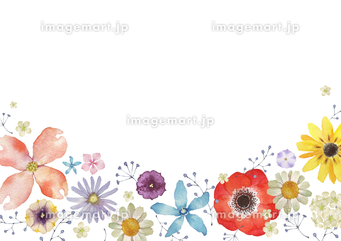 春の花 夏の花 背景 フレーム 水彩 イラスト [140220474]｜毎月1点無料