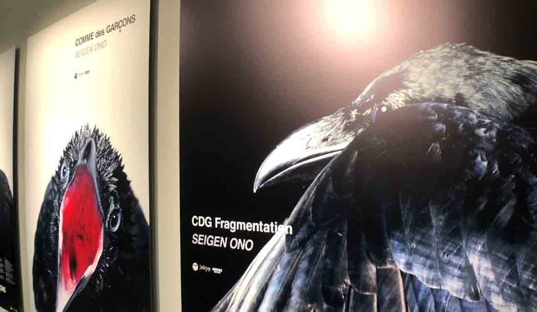 コム デ ギャルソンの伝説的マガジンも！展示デザイン界をリードする