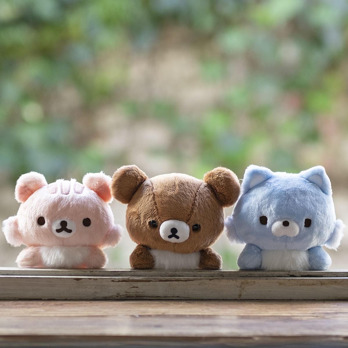 期間限定】チャイロイコグマの「がおぉ」な日常をのぞき見 リラックマ