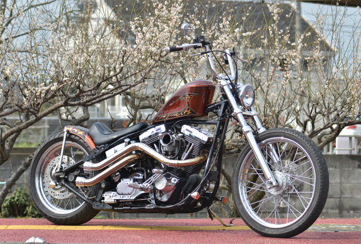 ナローコンパクトな都会的シルエットのエボソフテイル 【PRIMARY web.】