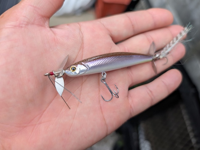 ルアマガprime | 大津清彰 バス釣り真相解明 2025/9/17 ステルス