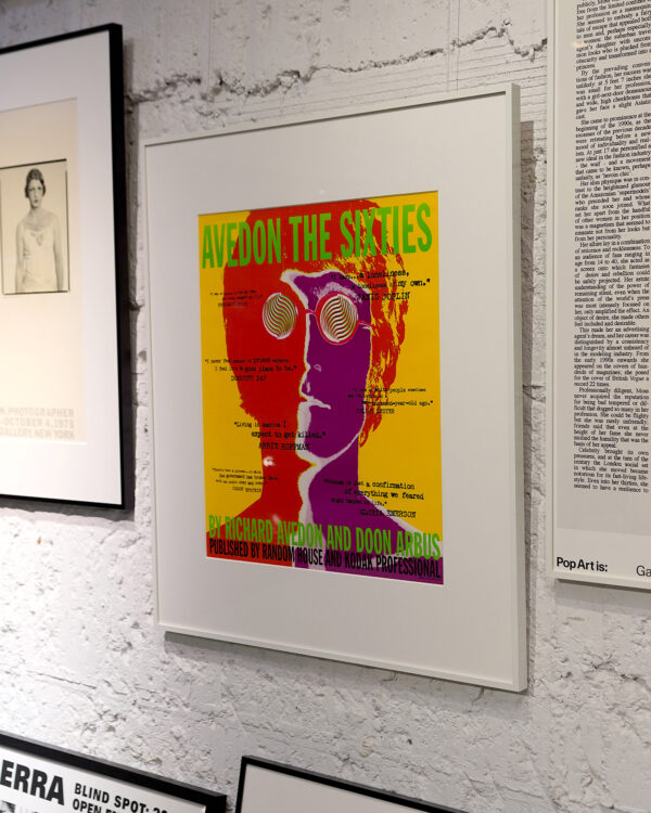 Richard Avedon | Avedon the Sixties - Printed Matter