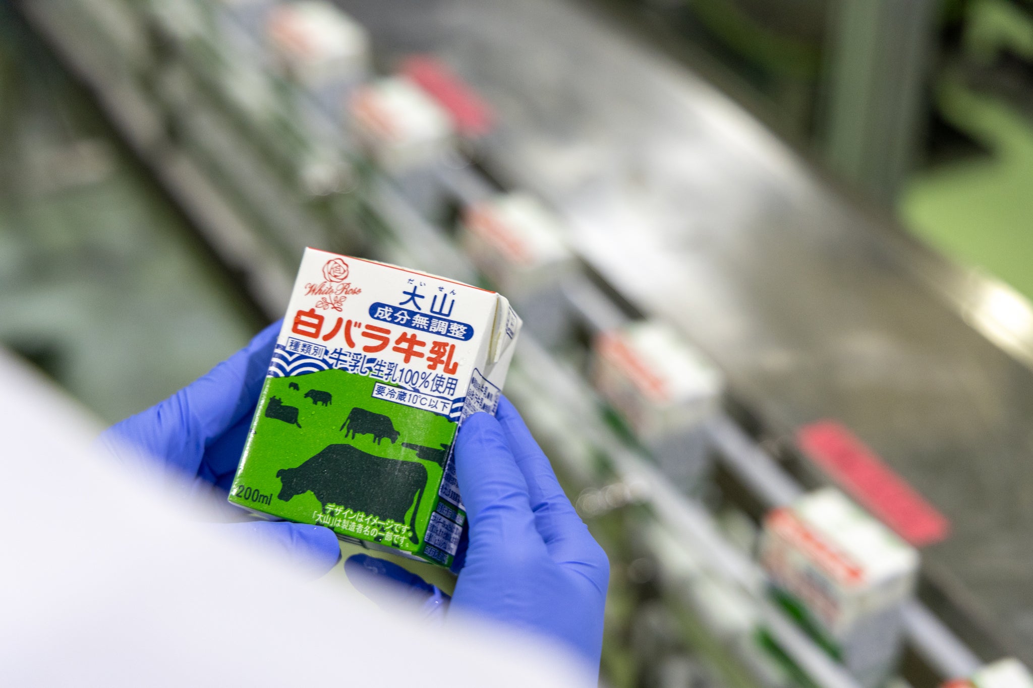 6/19（日）18:00新発売】5分で完売した『白バラ牛乳Tシャツ』を作っ