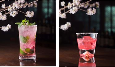 ザ・キャピトルホテル 東急】「SAKURAカクテルフェア」のご案内 | 東急