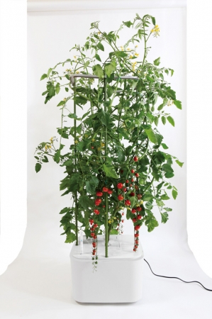 家庭で楽める本格派水耕栽培キット「ホームハイポニカシリーズ」2種 新