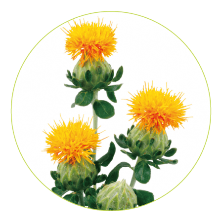 11種の植物オイルと12種の天然精油を厳選配合 ボタニカルの力を