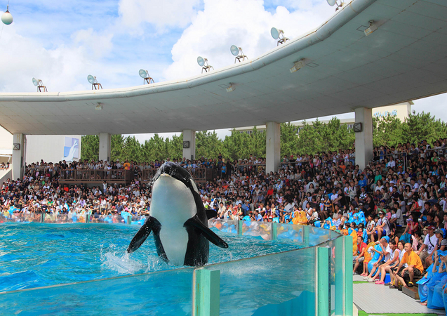 鴨川シーワールド夏休み応援で営業時間延長！8月12日（月）～14日（水