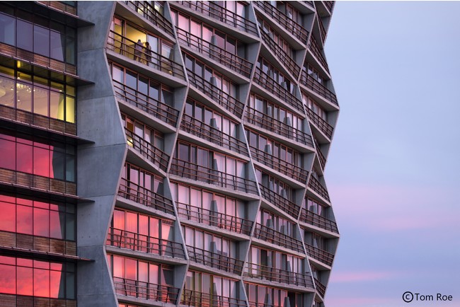 世界の「常識」を変えろ！挑戦する建築家・谷尻誠氏、吉田愛氏率いるサ