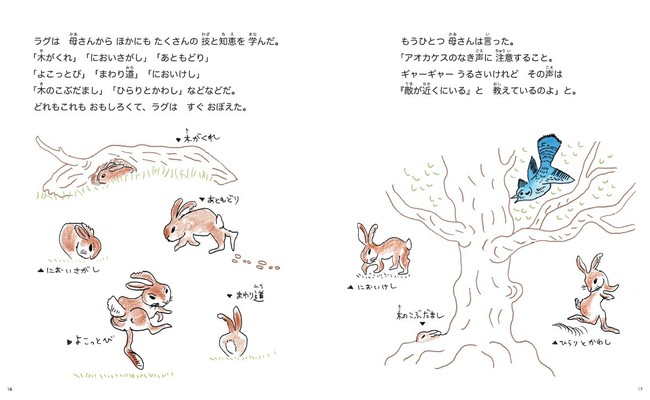 あべ弘士さん最新作『ギザ耳ラグ』の作者コメントが到着。懸命に生きる