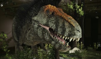 世界最大級の動物チャンネル「アニマルプラネット」夏の定番！ 恐竜