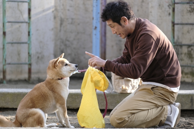 おっさん3人+柴犬3匹。公園ダベリエンターテインメント。「柴公園 TV