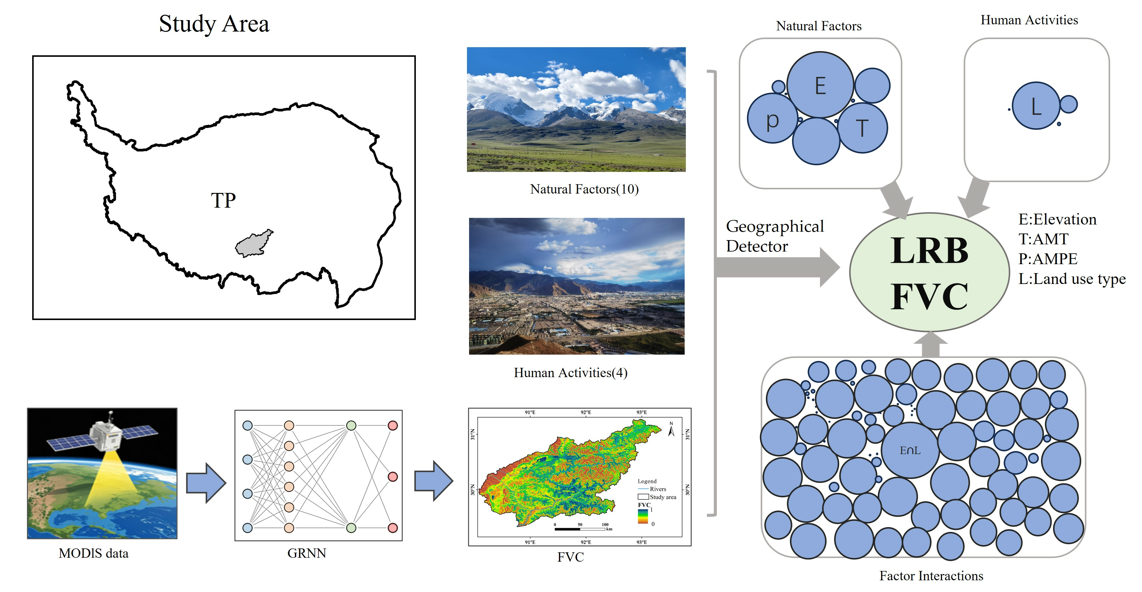 Synergistic Drivers of Vegetation Dynamics in a Fragile High