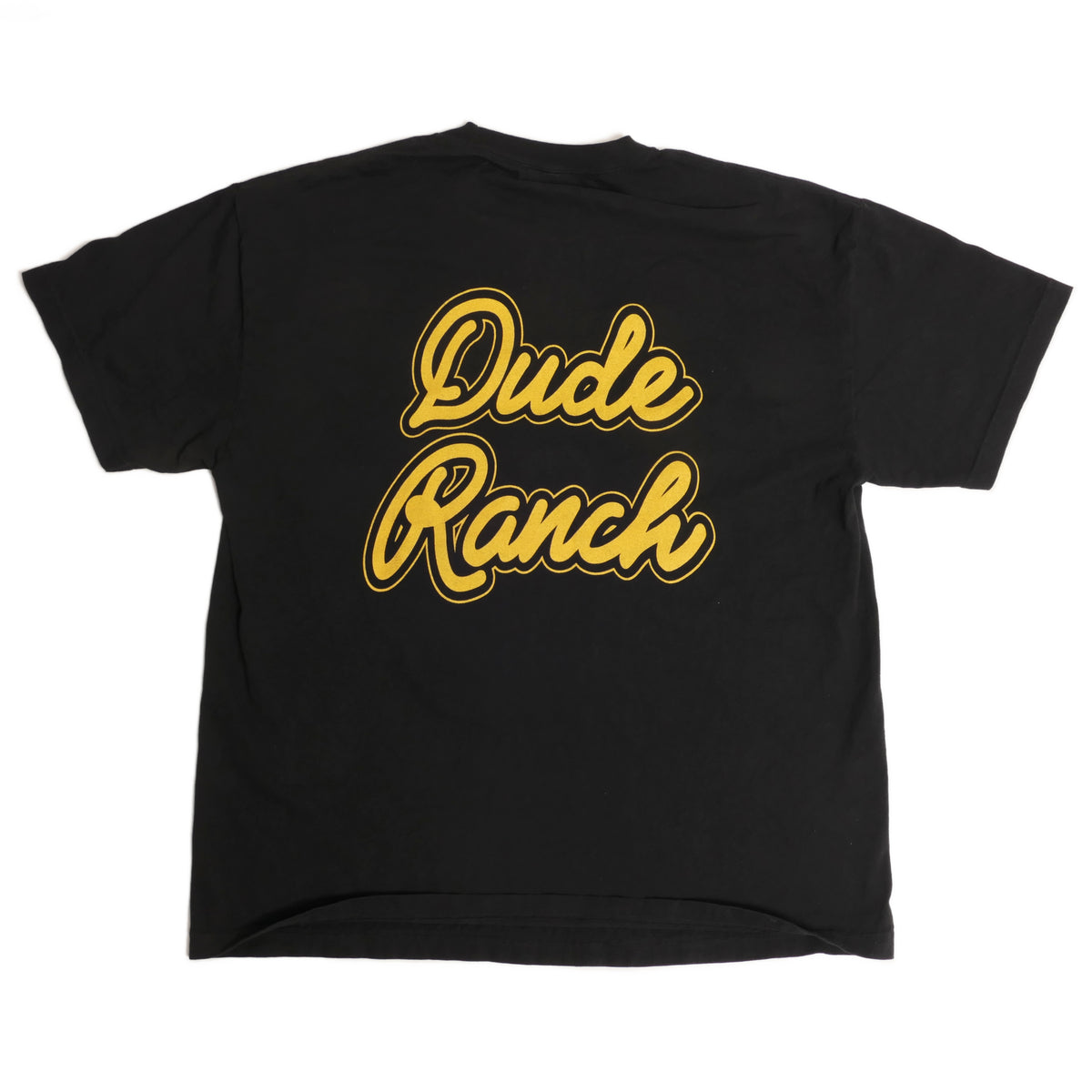 Blink 182 Dude Ranch Tee - Public Laundry