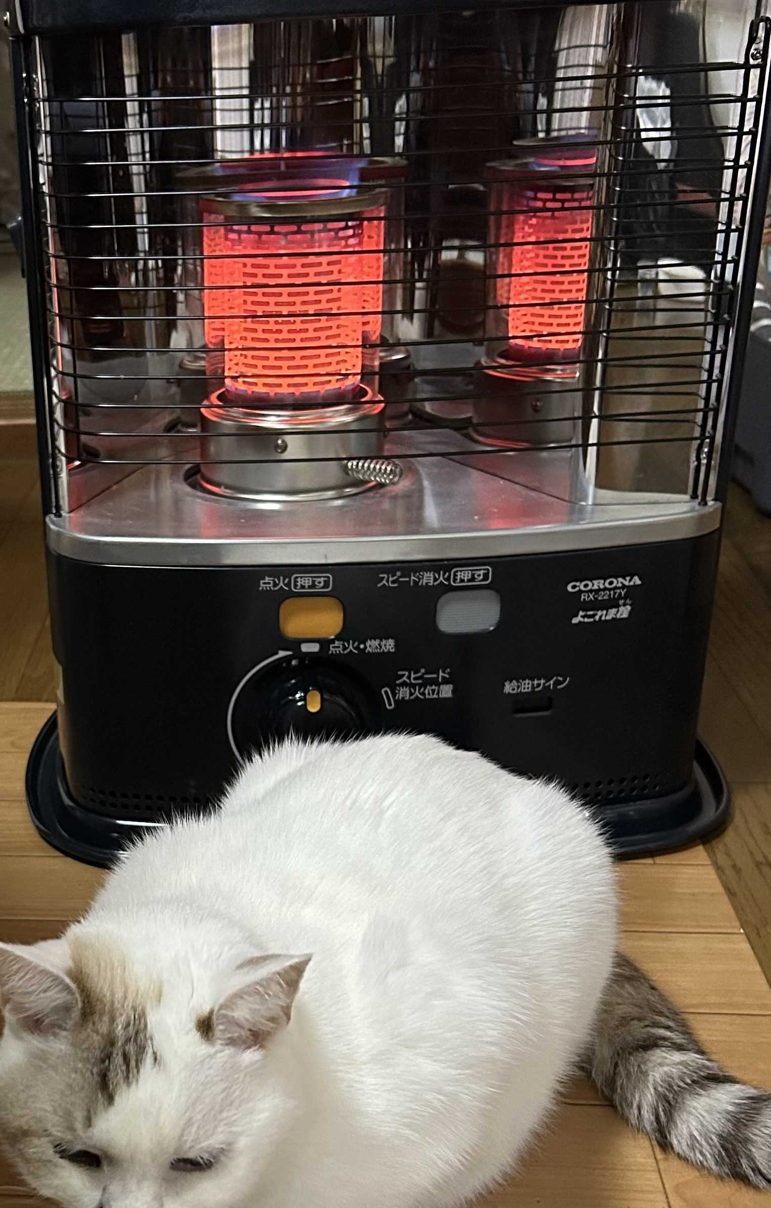 2019年製 BX-2219 CORONA ストーブ ブラウン 2019年製 BX-2219 CORONA