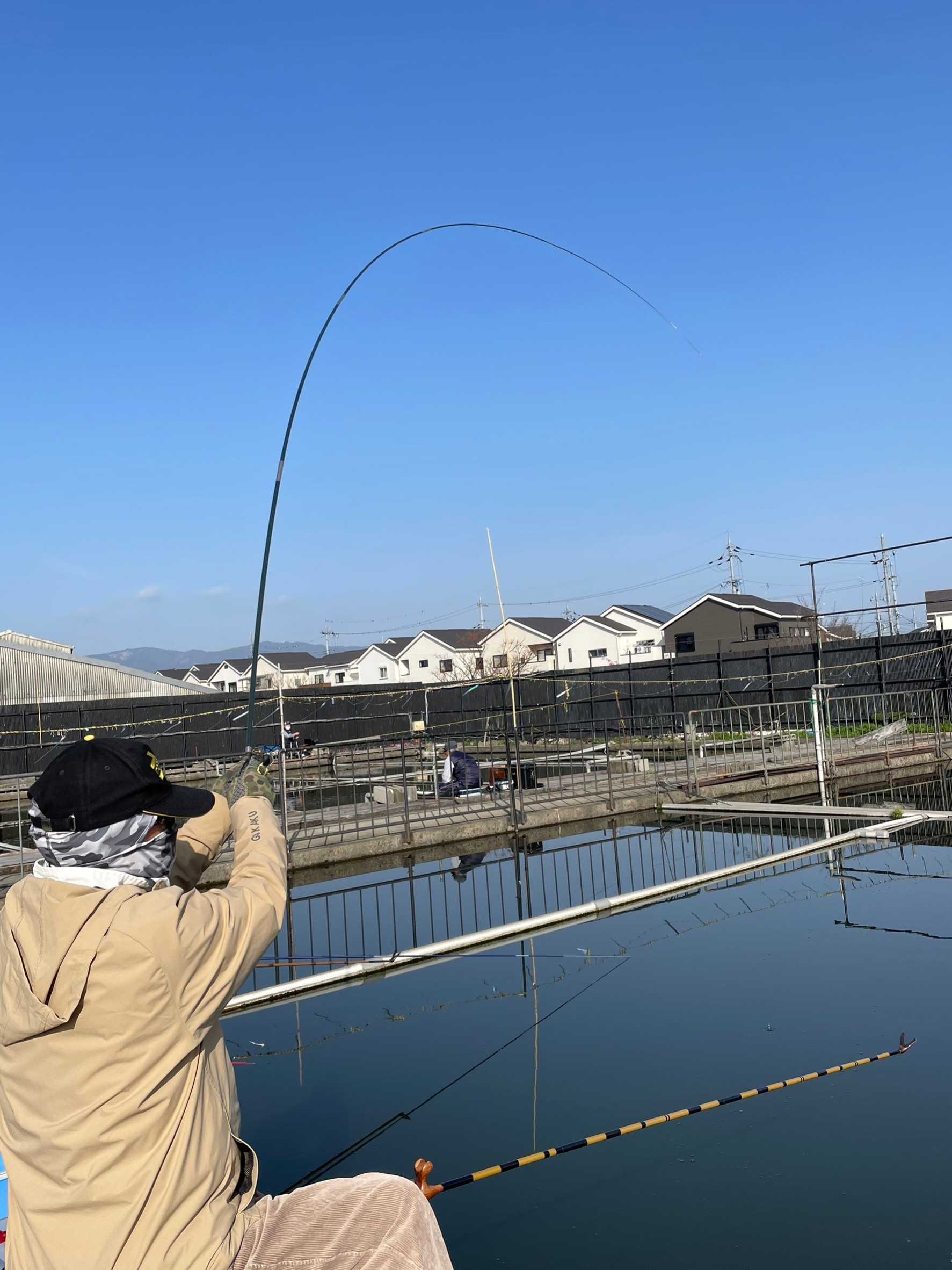 ダイワ製 ヘラ竿 HERA V インプレッション - 両うどんのヘラブナ釣り