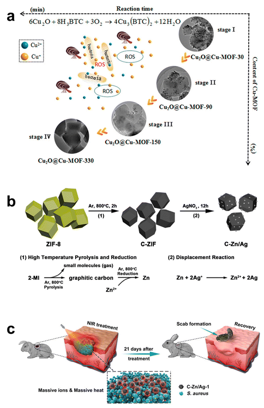 Exploring the multifaceted roles of metal–organic frameworks in