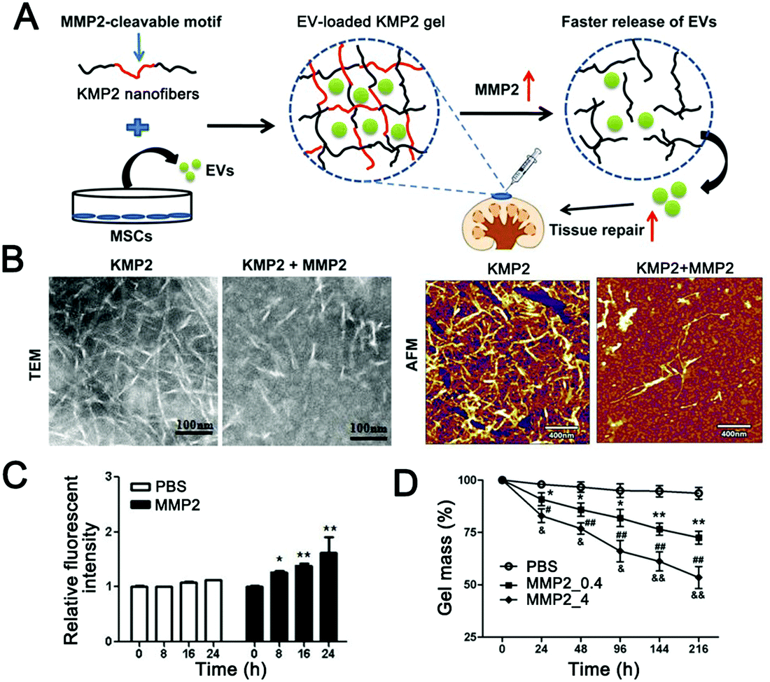 Engineered extracellular vesicles as intelligent nanosystems for