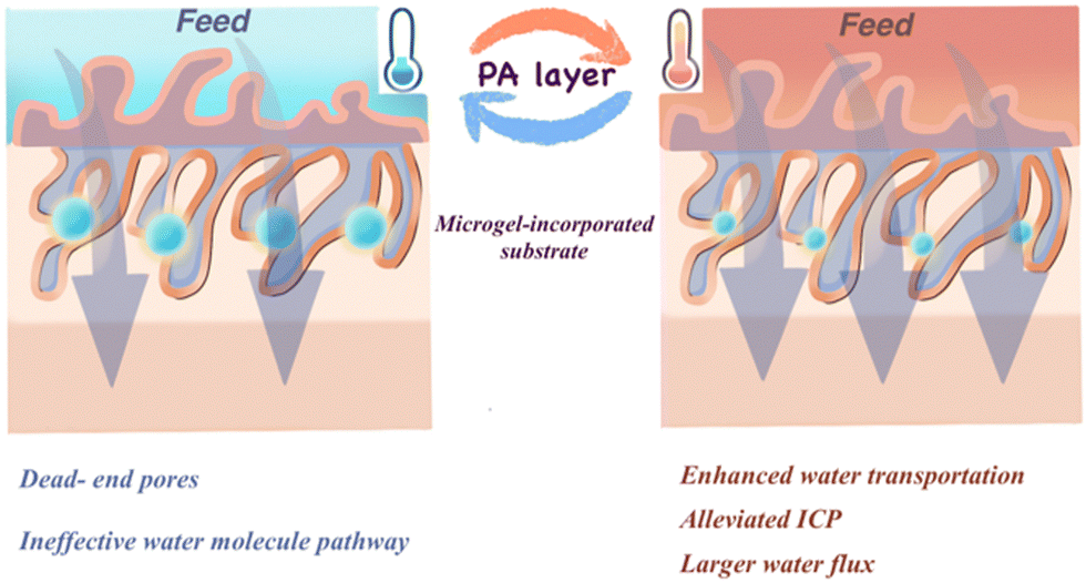 Advanced stimuli-responsive membranes for smart separation