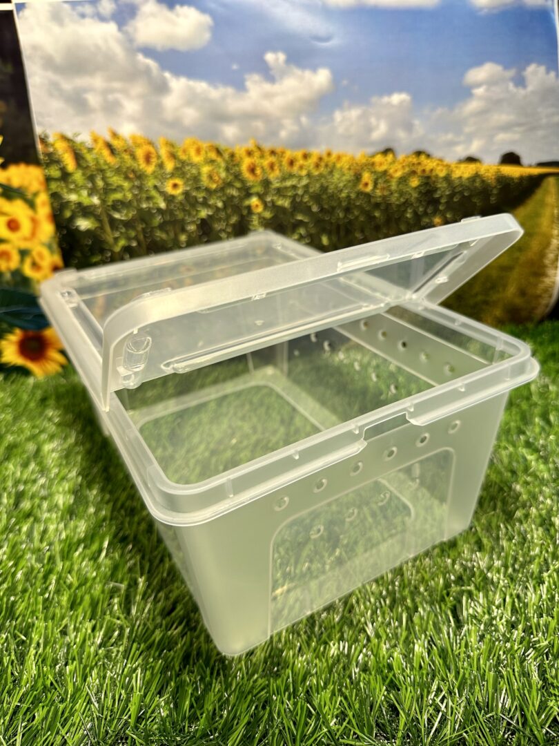 レプタイルボックス 昆虫 爬虫類 両性類飼育ケース クリア | ピュア