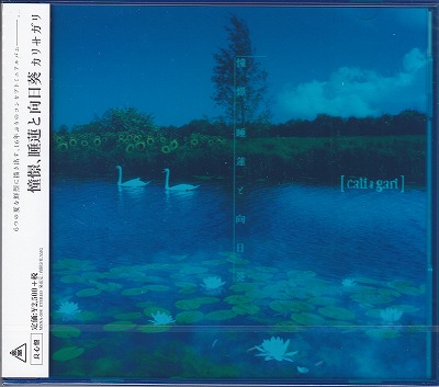 ピュアサウンド / sp_アーティスト_取扱商品