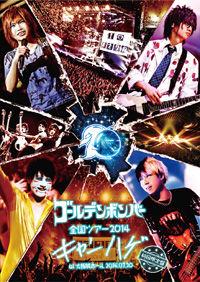 ピュアサウンド / sp_アーティスト_取扱商品