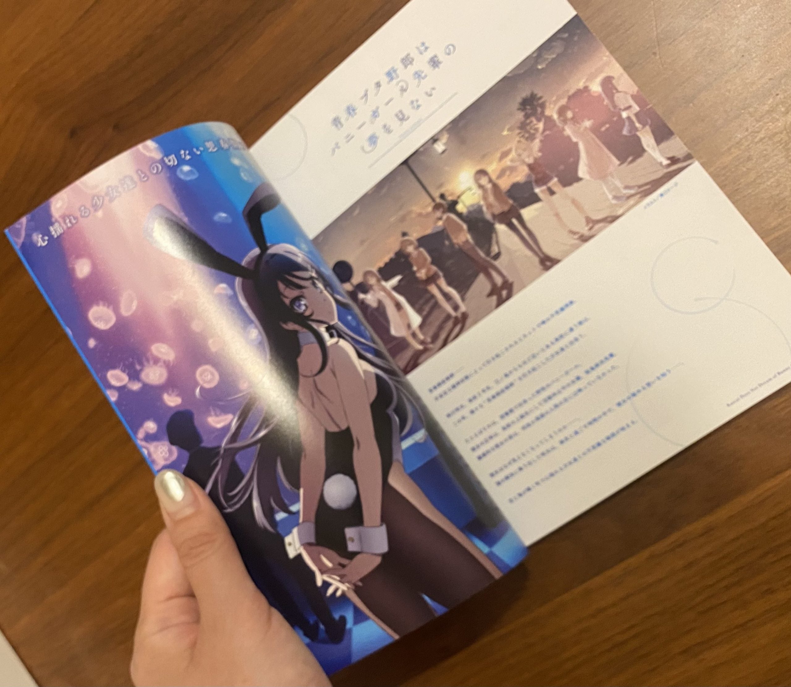 青春ブタ野郎シリーズ」Season1 Blu-ray BOXを開封してみた！ 描き