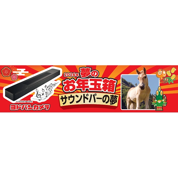 2026年 ヨドバシカメラ家電福袋予想 - Pyan blog (ぴーやんブログ)