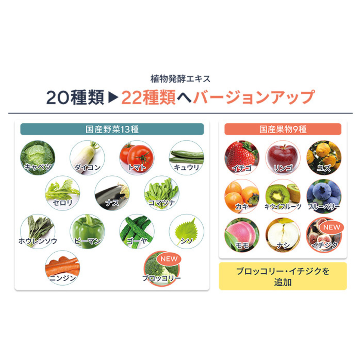 保阪流ファスティングBEAUTYPLUS ROYAL2本セット 保阪流 - QVC.jp