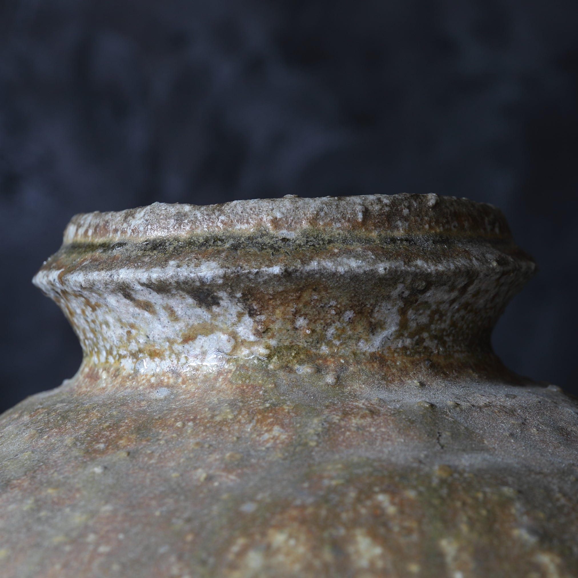 江戸時代 窯変信楽壺（1603–1867 CE） | 入蘆花（ロカニイル）