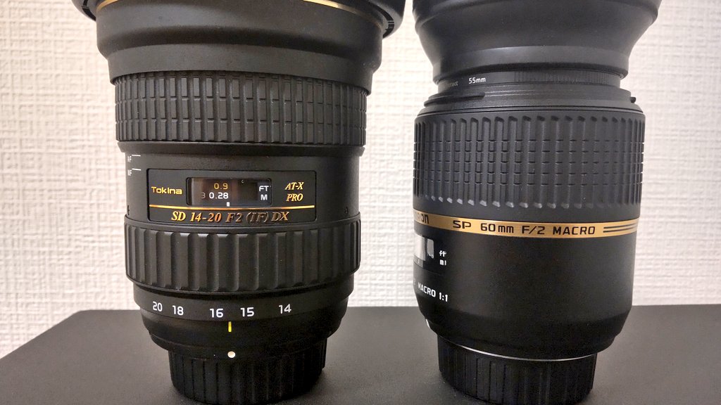 水族館撮影】ニコンD500でよく使ってるレンズの話。 | 水族館で、魚を