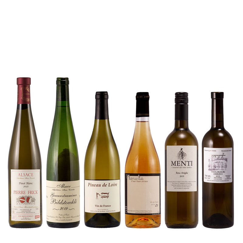 限定】白ワインセット 販売開始