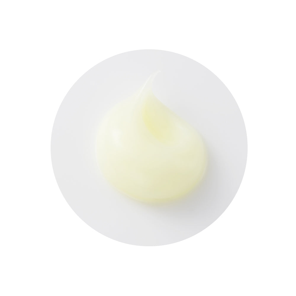 ラフラ】モイストオレンジ タイプDD〈クリーム〉2点 – RAFRA(ラフラ) 公式