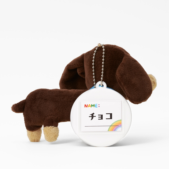 ミニチュアダックスフンド | 株式会社レインボーペット