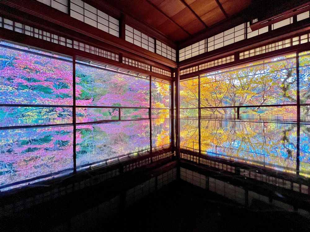 スマホでサクッと素敵な紅葉写真が撮れる簡単な方法をプロ