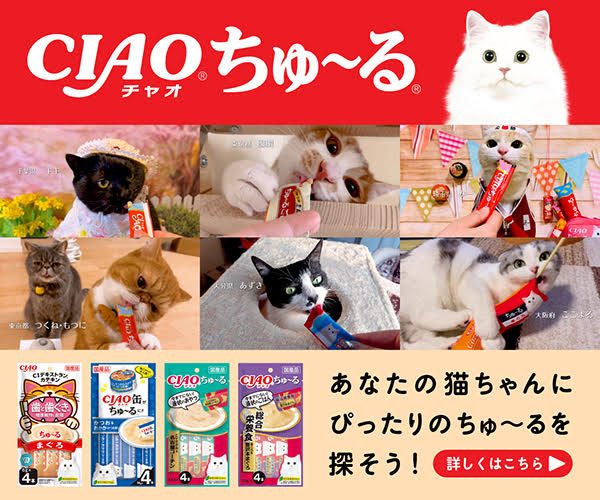 卓球】ZXGEAR-OUT(ゼクスギアアウト)の性能を徹底レビュー パワーと