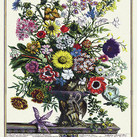 Twelve Months of Flowers Art Print by Robert Furber - Fine Art America